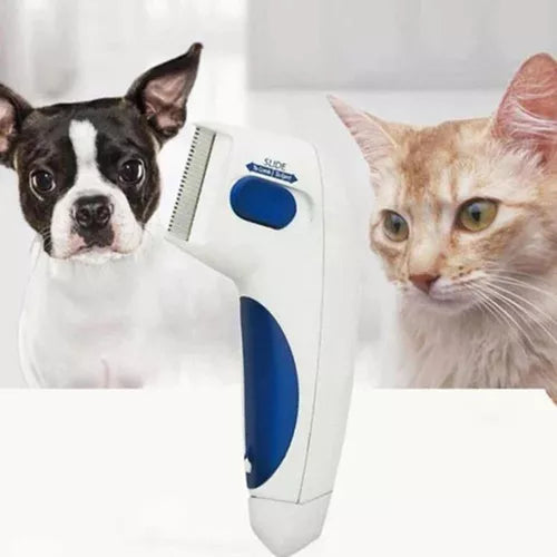 Pente Elétrico para Pulgas e Carrapatos em Pets