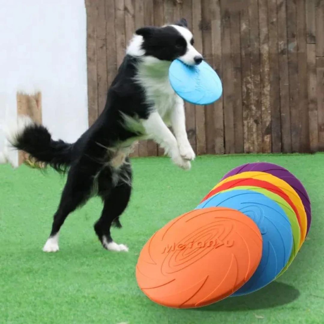 Disco Para Arremesso Frisbee Emborrachado Para Cachorro Brinquedo Para Cachorros