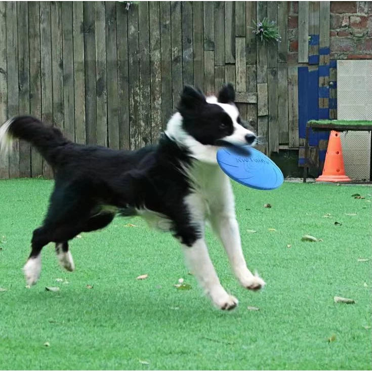 Disco Para Arremesso Frisbee Emborrachado Para Cachorro Brinquedo Para Cachorros