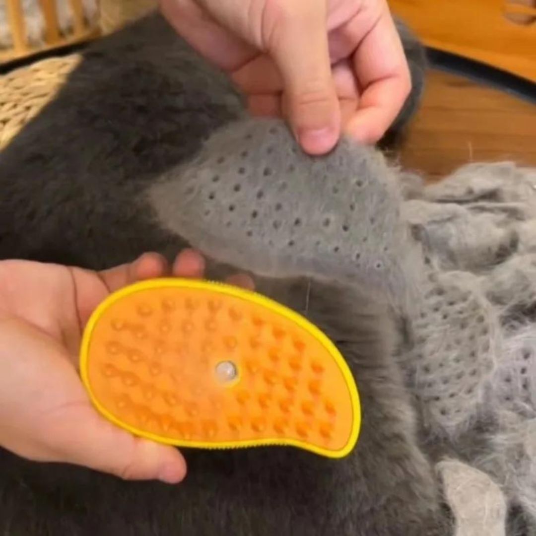 PetClean©️ | Escova a vapor para Pet Anti-Pulgas e Restauradora de Pelos - Cores Sortidas
