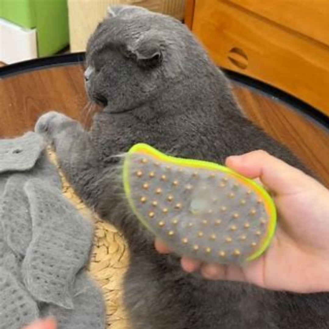PetClean©️ | Escova a vapor para Pet Anti-Pulgas e Restauradora de Pelos - Cores Sortidas